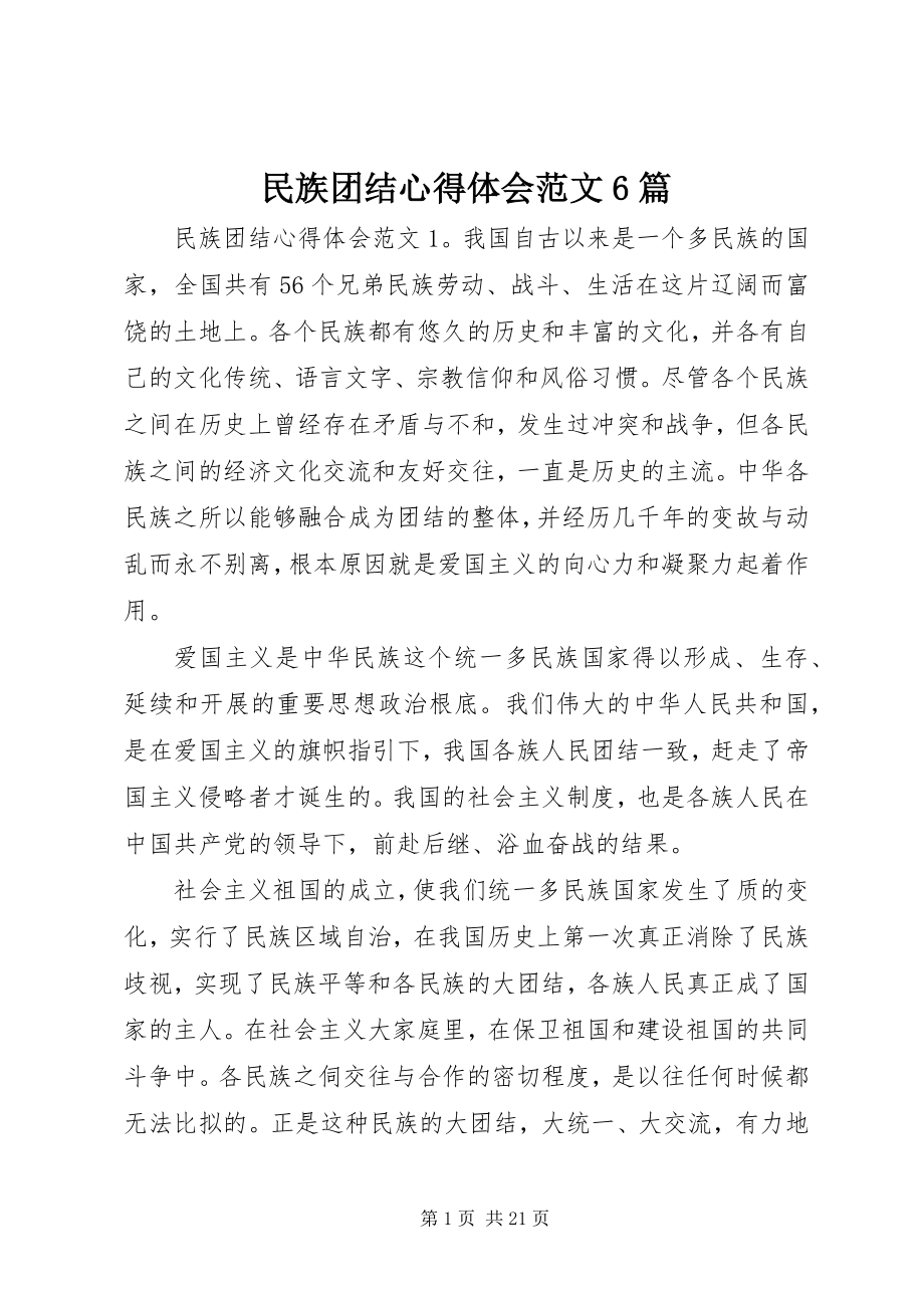 2023年民族团结心得体会6篇.docx_第1页