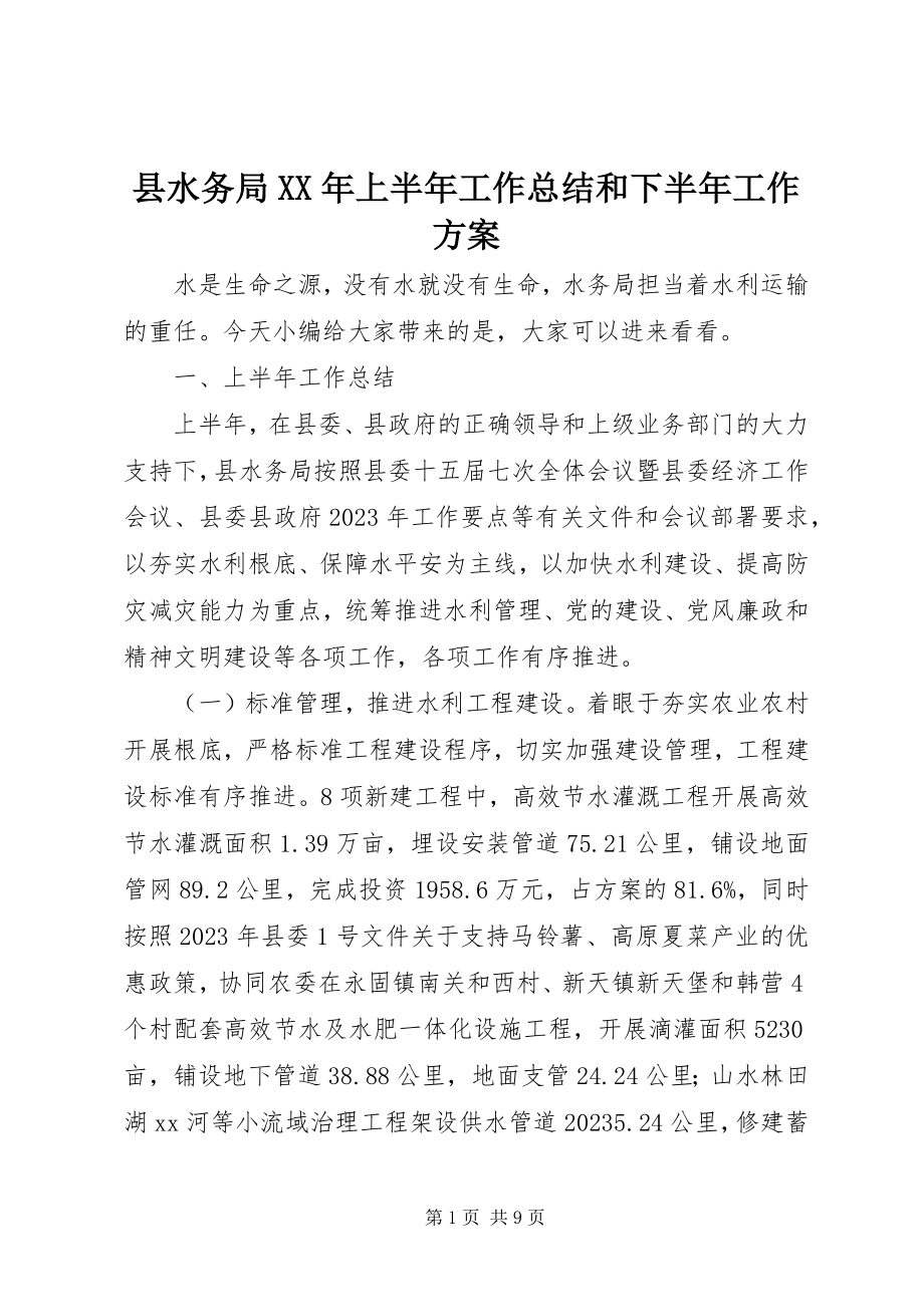 2023年县水务局上半年工作总结和下半年工作计划.docx_第1页