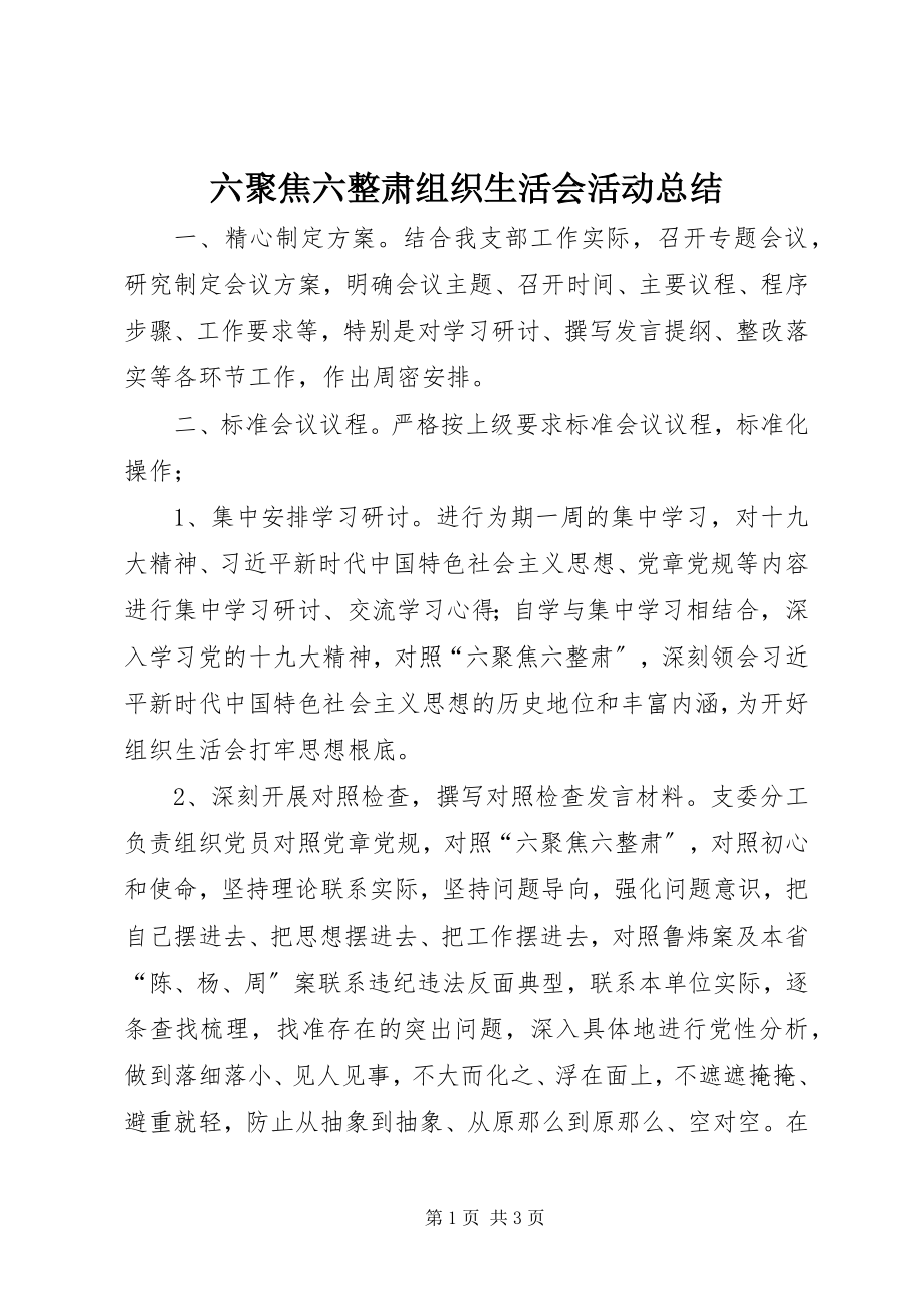 2023年六聚焦六整肃组织生活会活动总结.docx_第1页