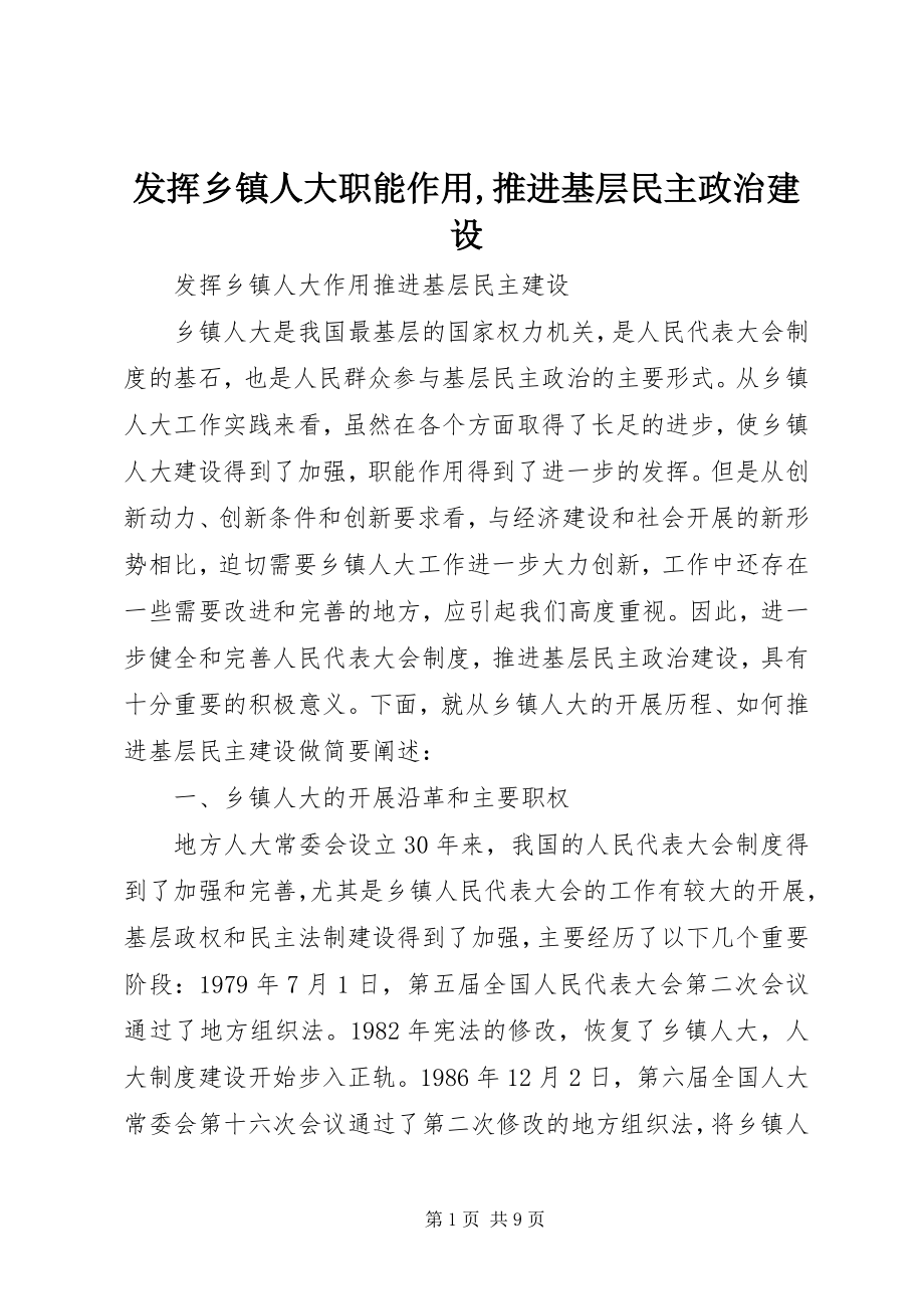 2023年发挥乡镇人大职能作用推进基层民主政治建设.docx_第1页