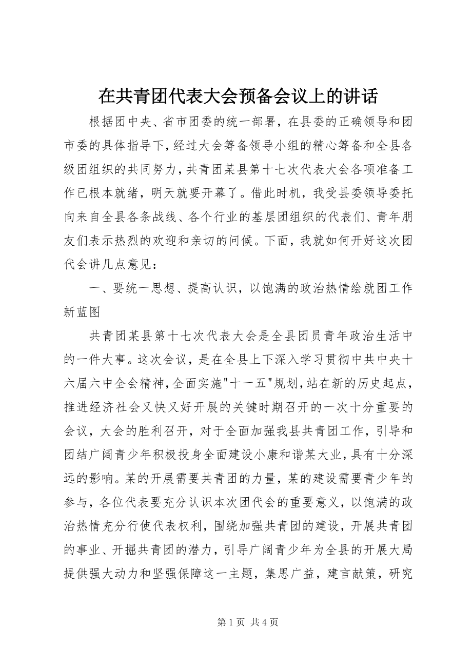 2023年在共青团代表大会预备会议上的致辞.docx_第1页