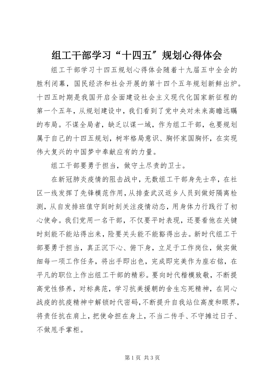 2023年组工干部学习“十四五”规划心得体会.docx_第1页