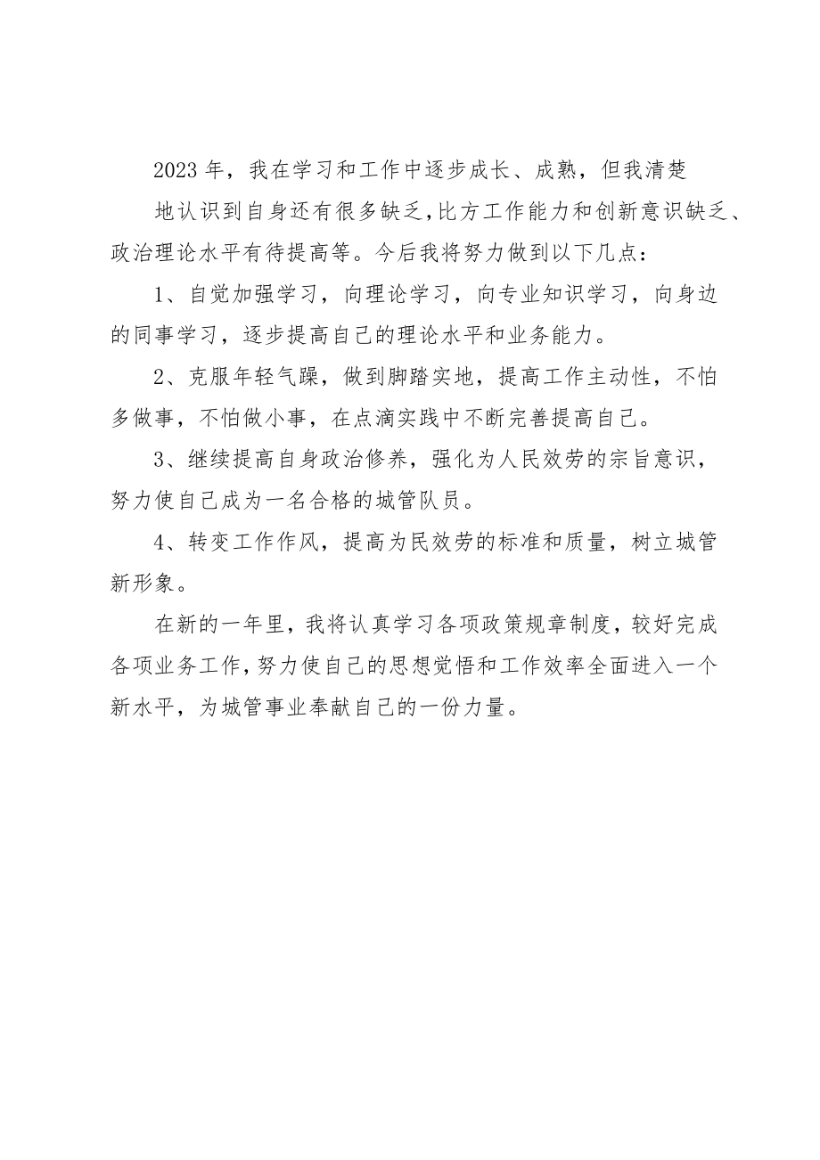 2023年城管年终工作总结的城管每周工作总结.docx_第2页