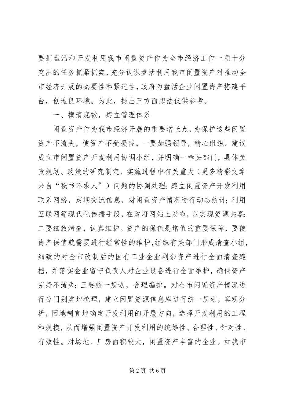 2023年盘活我市闲置资产的几点思考.docx_第2页