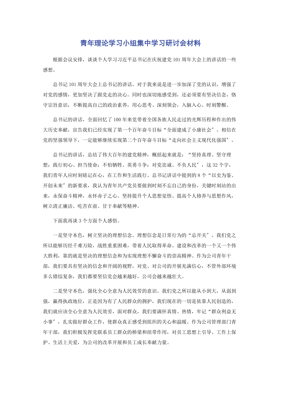 2023年青年理论学习小组集中学习研讨会材料.docx_第1页