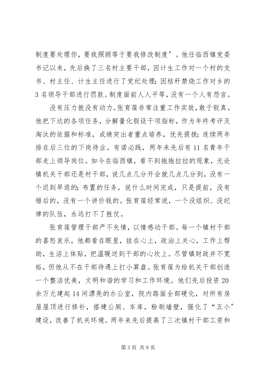 2023年记镇党委书记个人先进事迹.docx_第3页