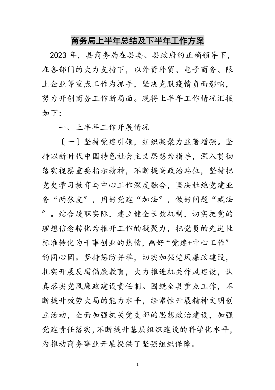 2023年商务局上半年总结及下半年工作计划范文.doc_第1页