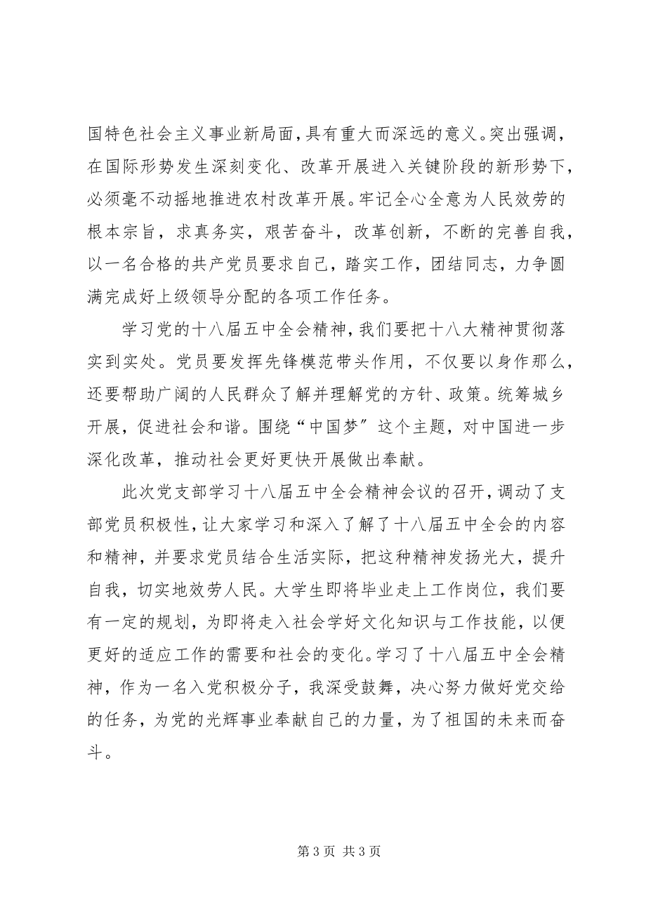 2023年乡镇干部学习十八届五中全会精神总结.docx_第3页