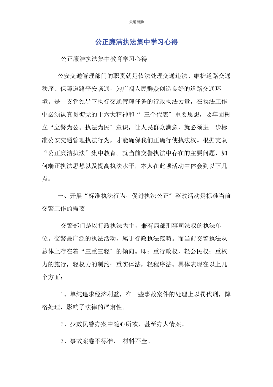 2023年公正廉洁执法集中学习心得范文.docx_第1页