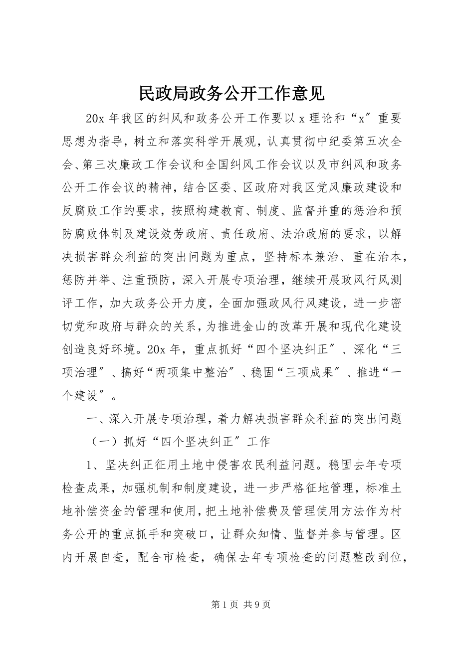 2023年民政局政务公开工作意见.docx_第1页