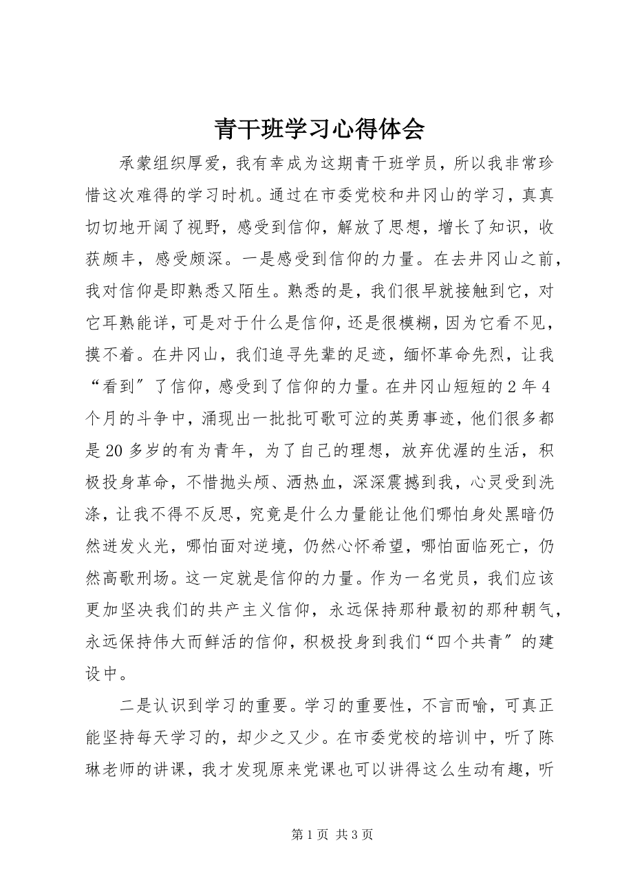 2023年青干班学习心得体会.docx_第1页