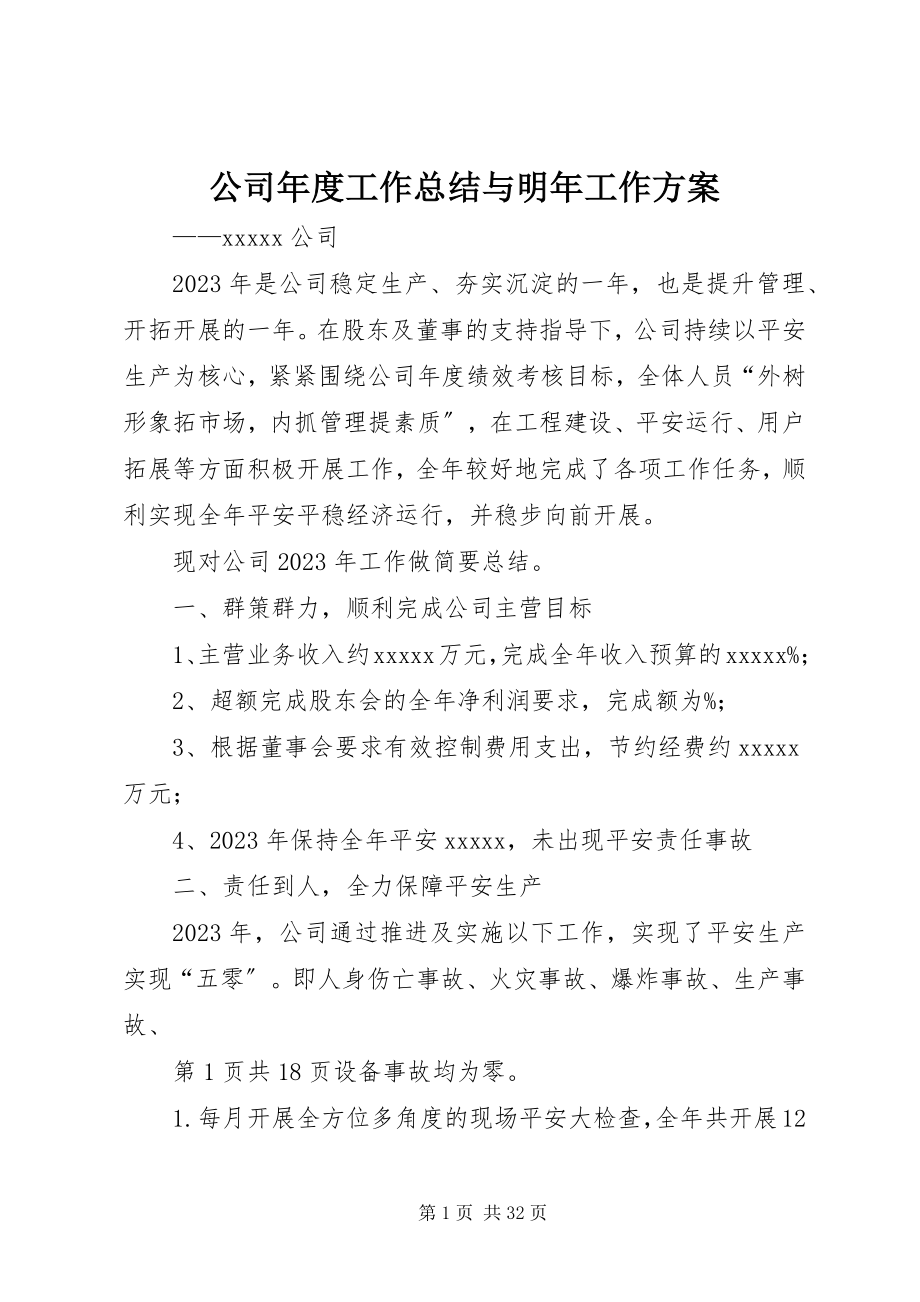 2023年公司年度工作总结与明年工作计划.docx_第1页