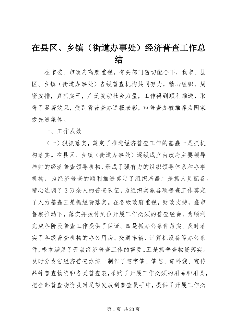 2023年在县区乡镇经济普查工作总结.docx_第1页