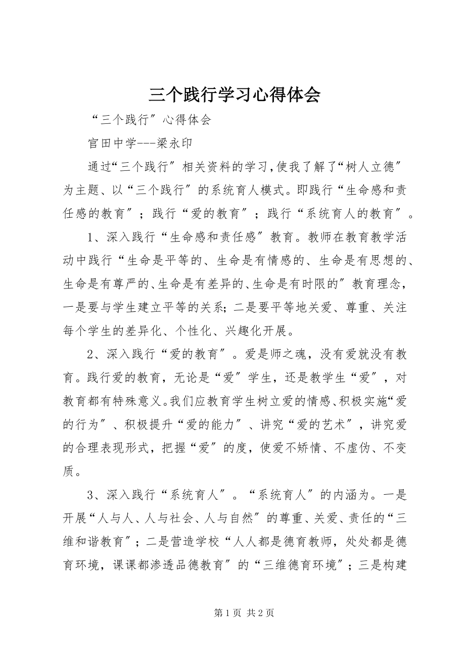 2023年三个践行学习心得体会.docx_第1页