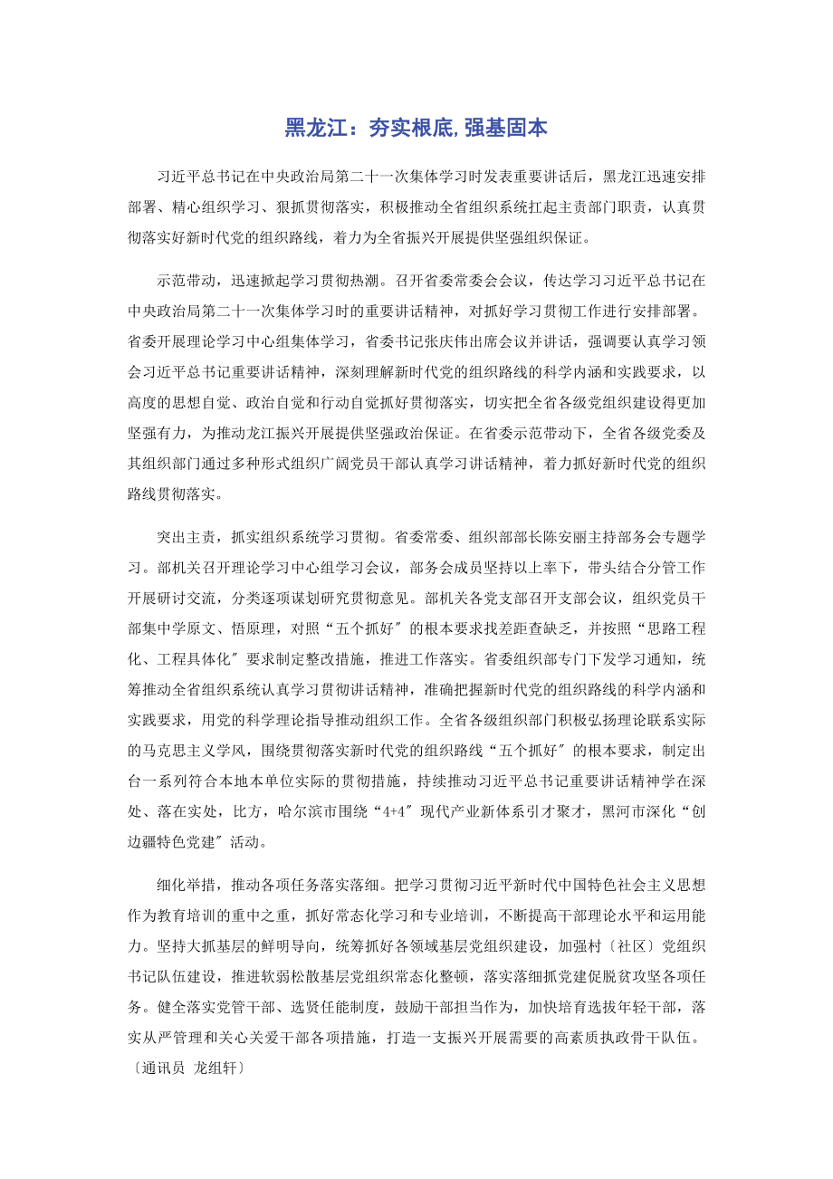 2023年黑龙江夯实基础强基固本.docx_第1页