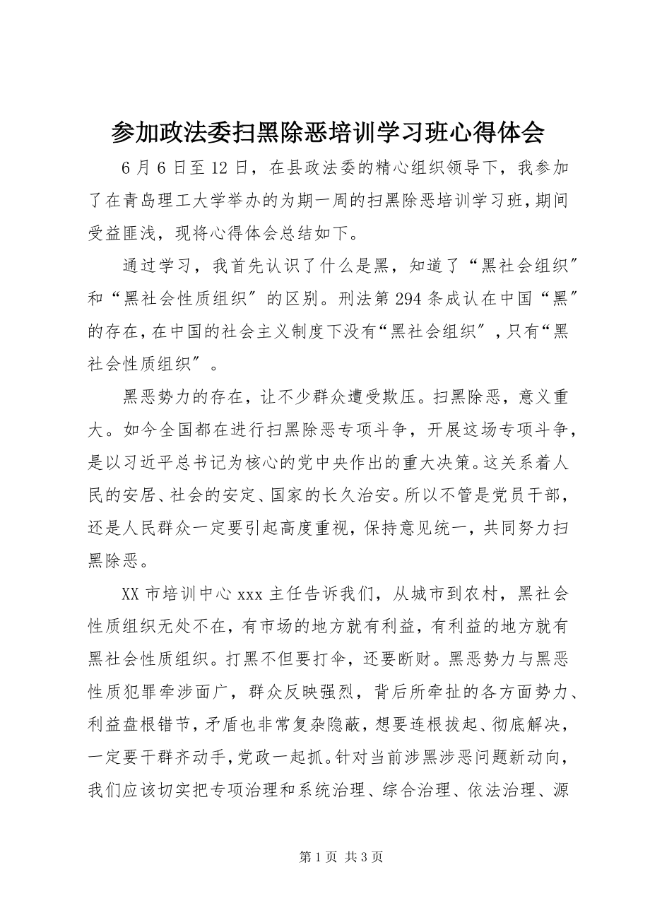 2023年参加政法委扫黑除恶培训学习班心得体会新编.docx_第1页