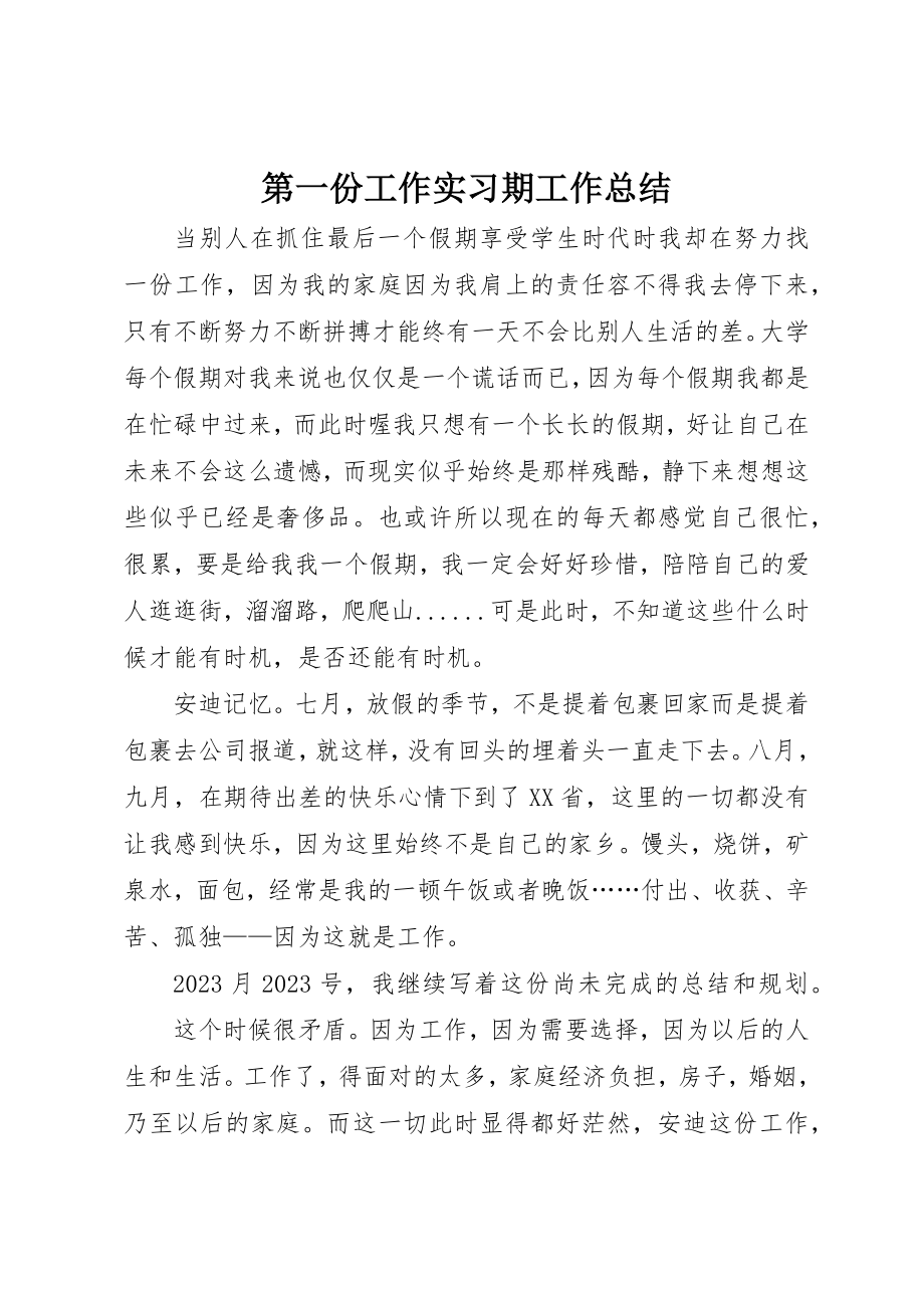 2023年第一份工作实习期工作总结新编.docx_第1页