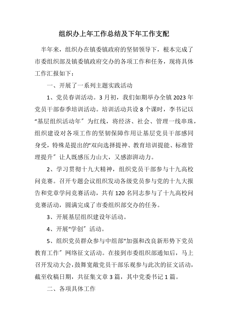 2023年组织办上年工作总结及下年工作安排.docx_第1页