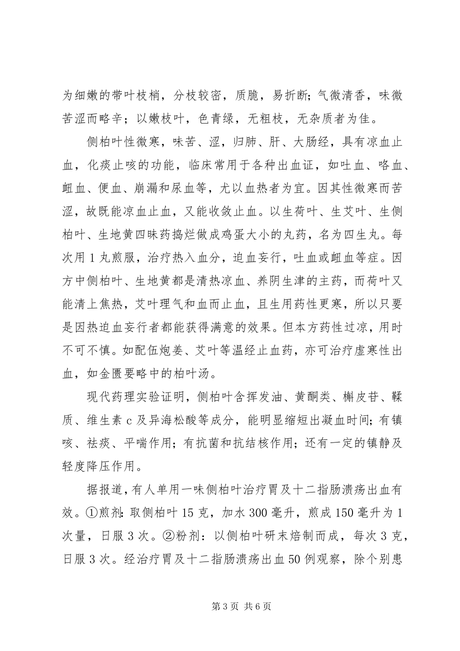 2023年柏树木百木之长说柏树新编.docx_第3页