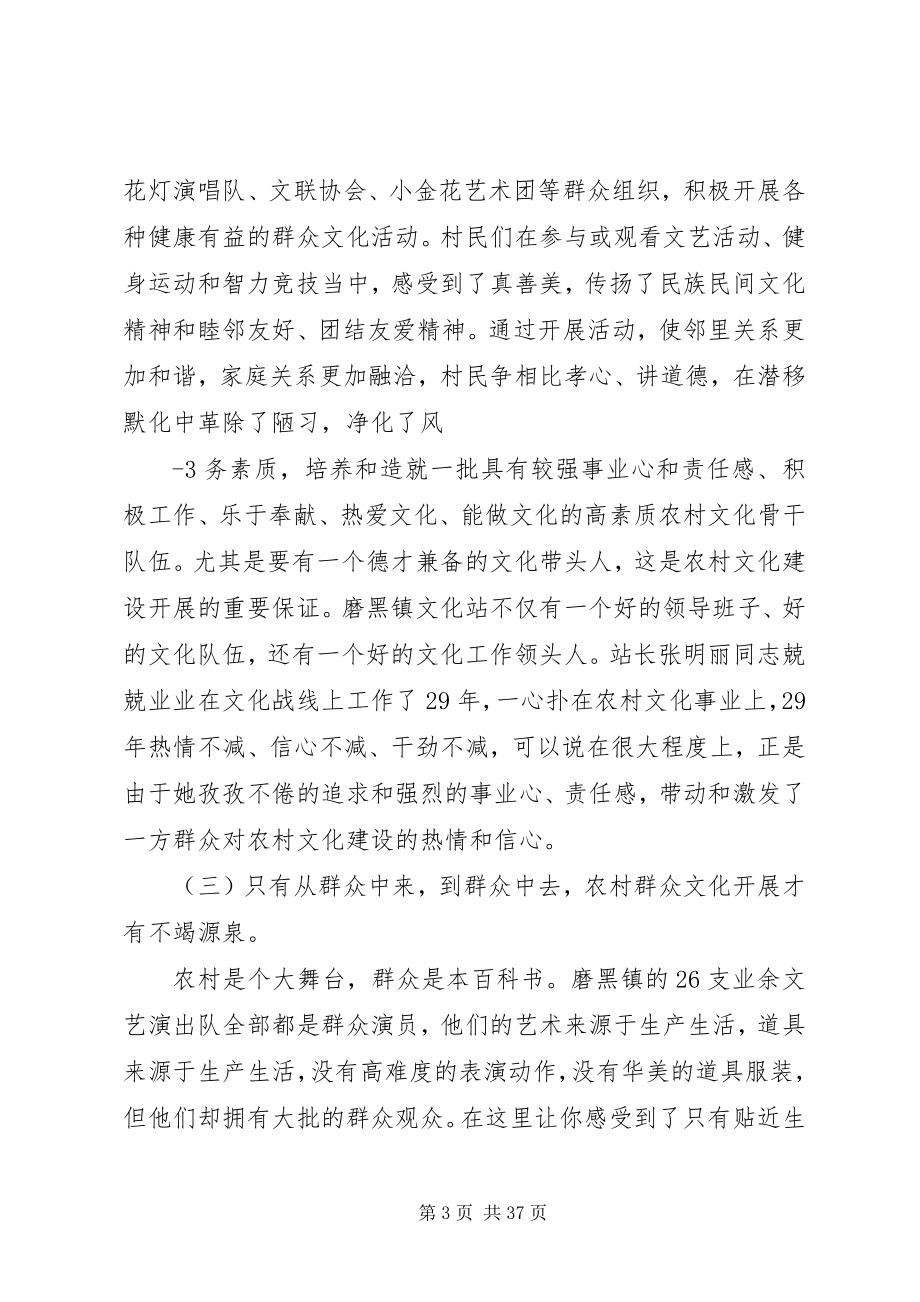 2023年对宁洱县磨黑镇农村群众文化建设的调查与思考.docx_第3页