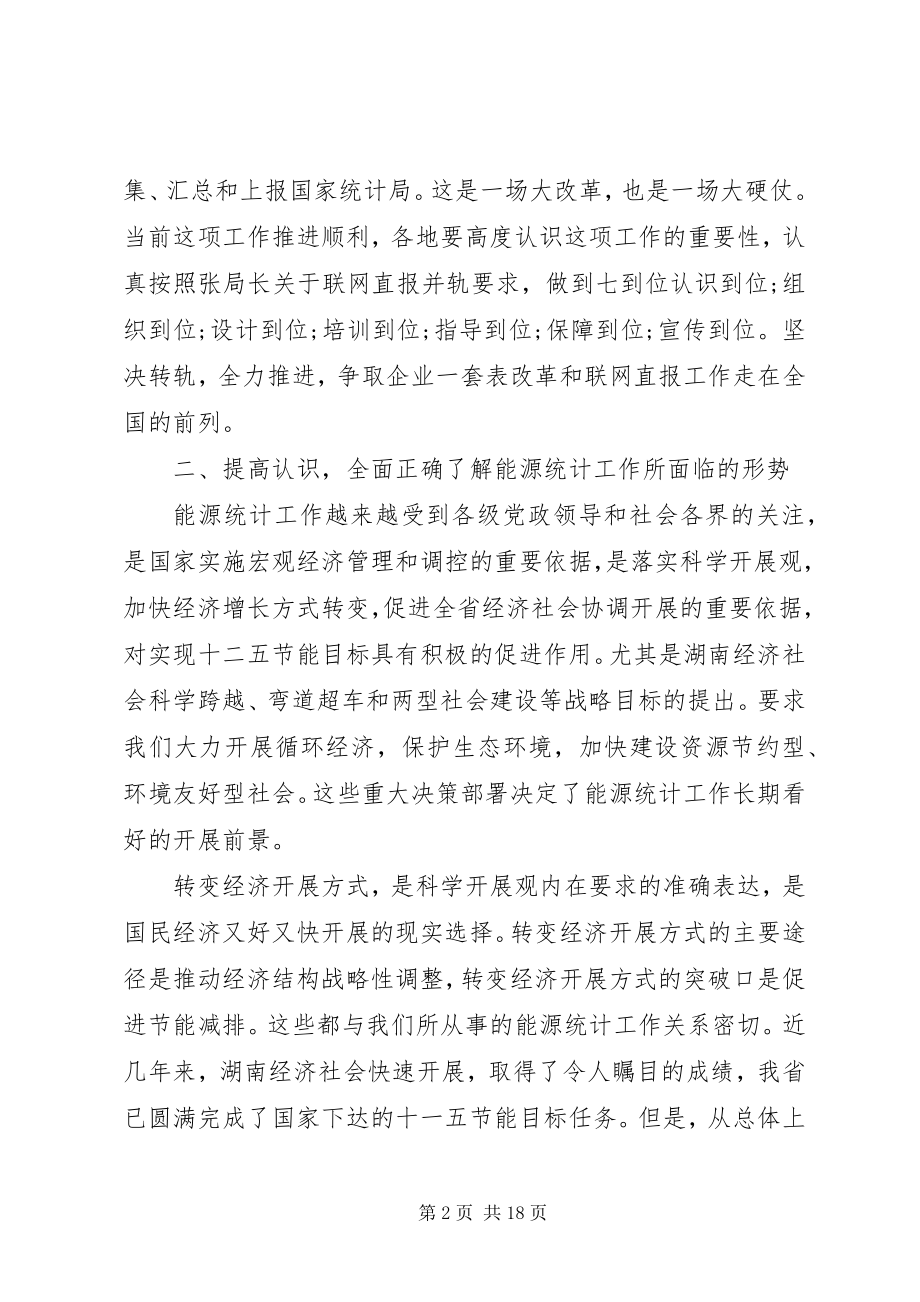 2023年能源统计工作会议致辞.docx_第2页