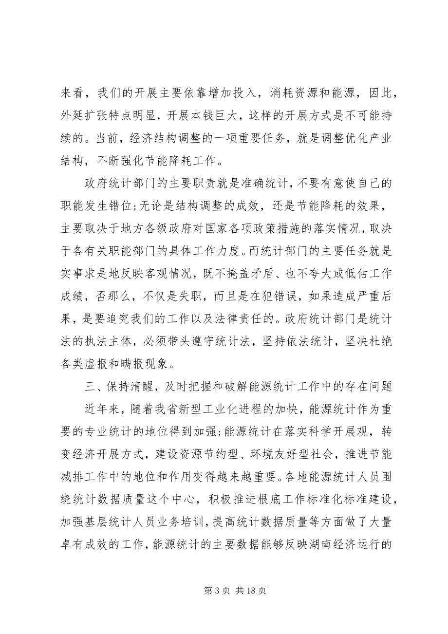 2023年能源统计工作会议致辞.docx_第3页