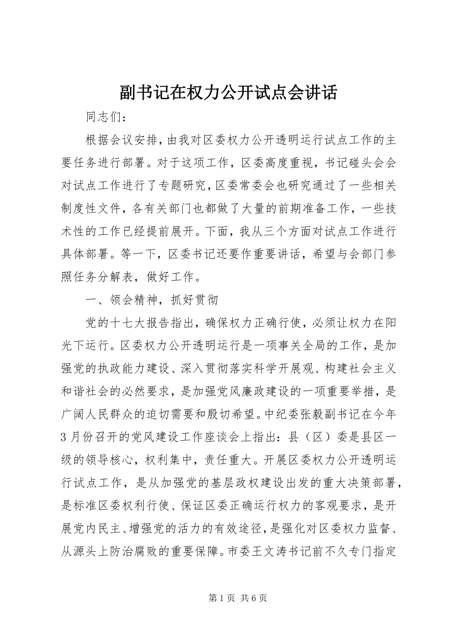 2023年副书记在权力公开试点会致辞.docx_第1页