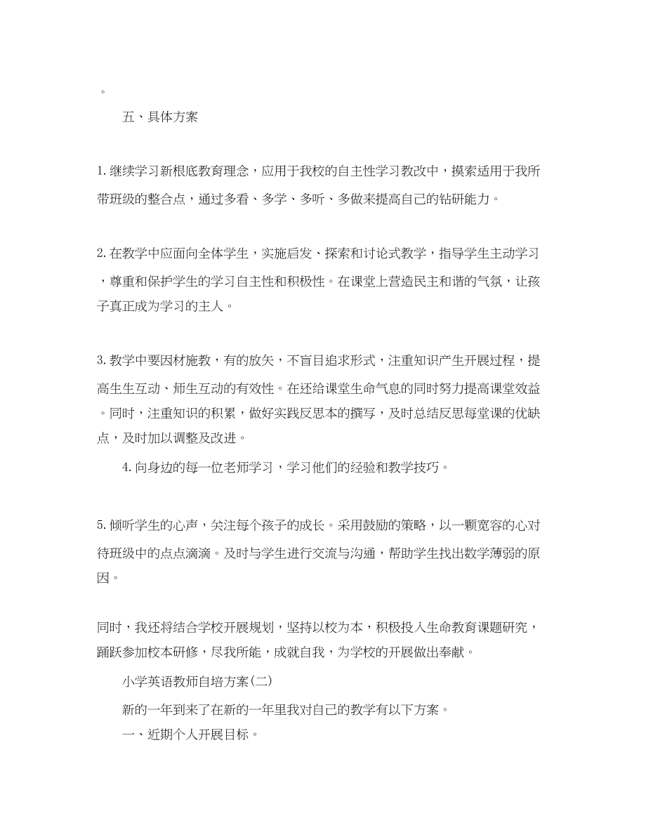 2023年小学英语教师自培计划.docx_第2页