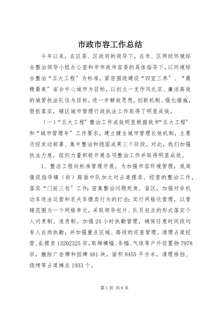 2023年市政市容工作总结.docx_第1页