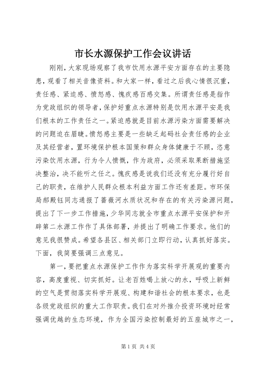 2023年市长水源保护工作会议致辞.docx_第1页