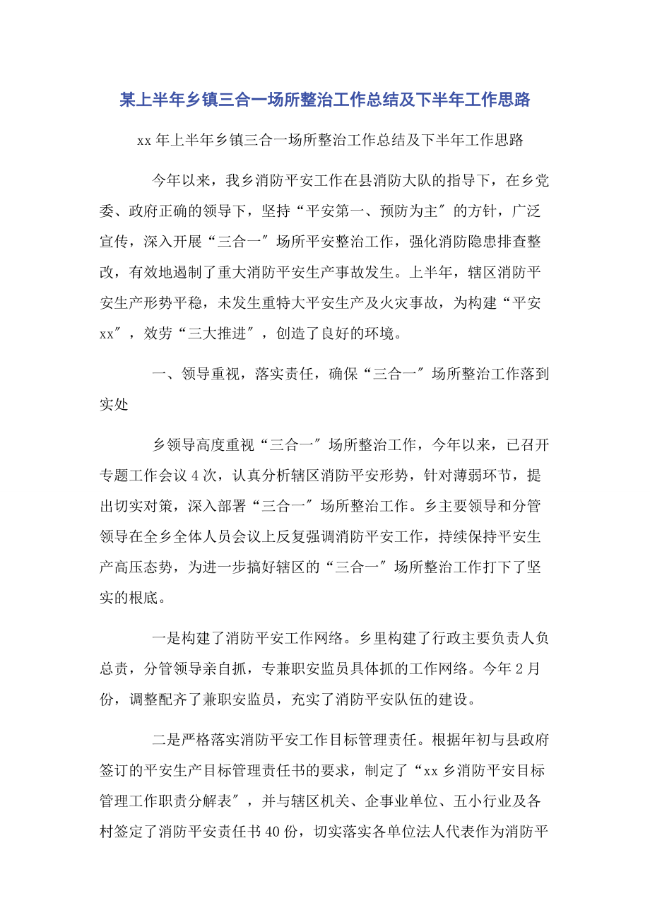 2023年x上半年乡镇三合一场所整治工作总结及下半年工作思路.docx_第1页