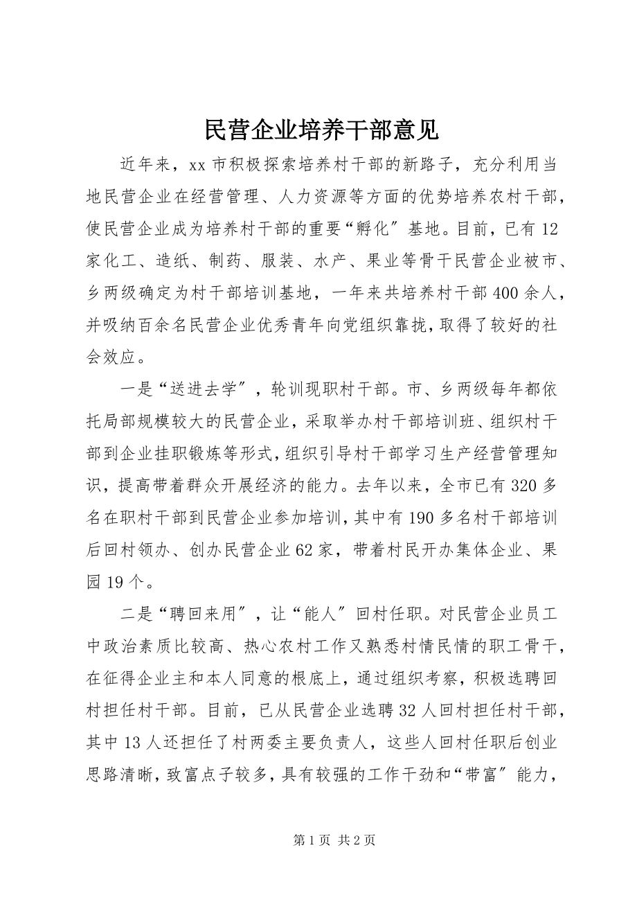 2023年民营企业培养干部意见.docx_第1页