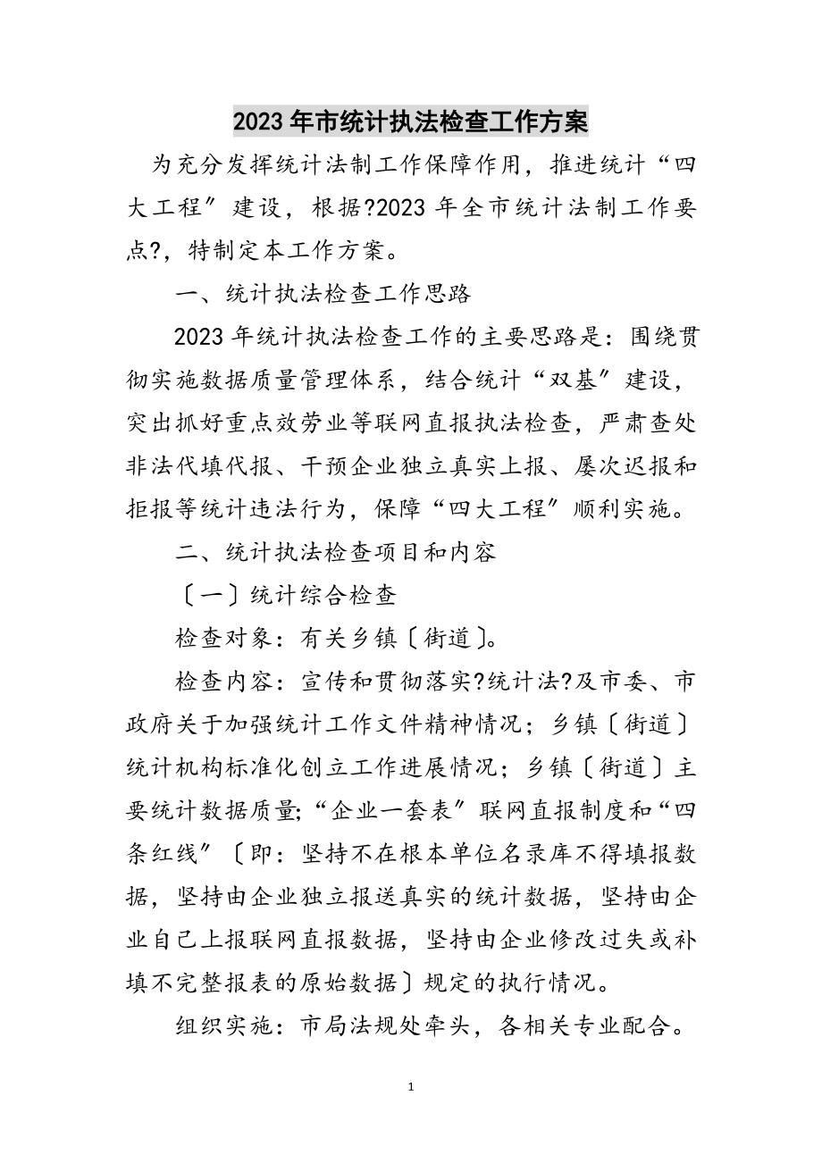 2023年年市统计执法检查工作计划范文.doc_第1页