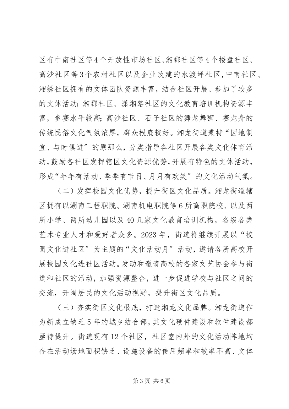 2023年街道度文化工作计划.docx_第3页