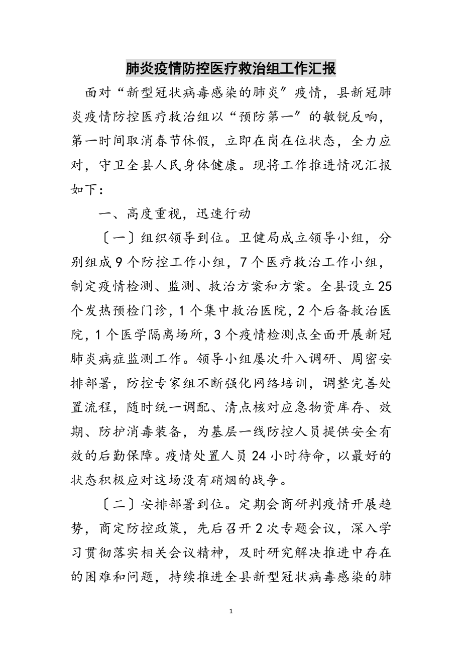 2023年肺炎疫情防控医疗救治组工作汇报范文.doc_第1页