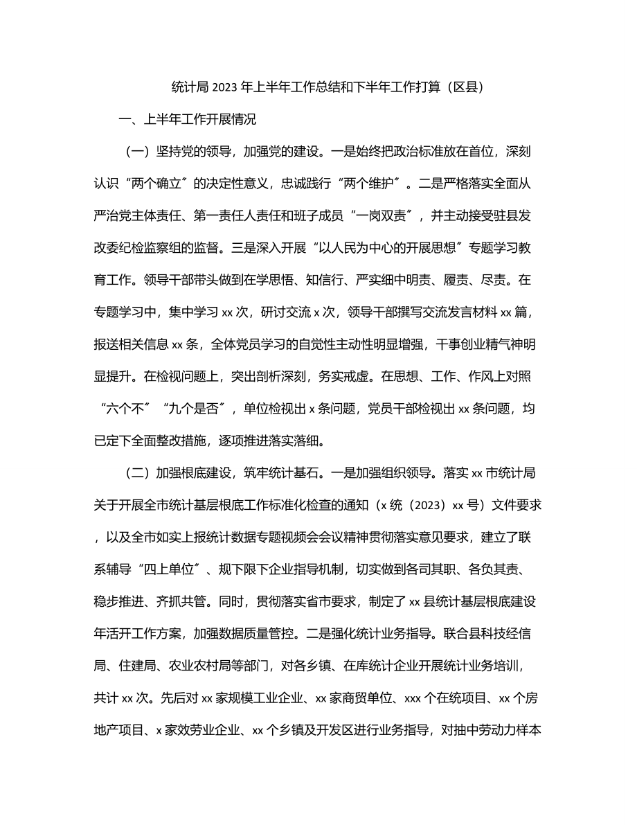 统计局2023年上半年工作总结和下半年工作打算（区县）.docx_第1页