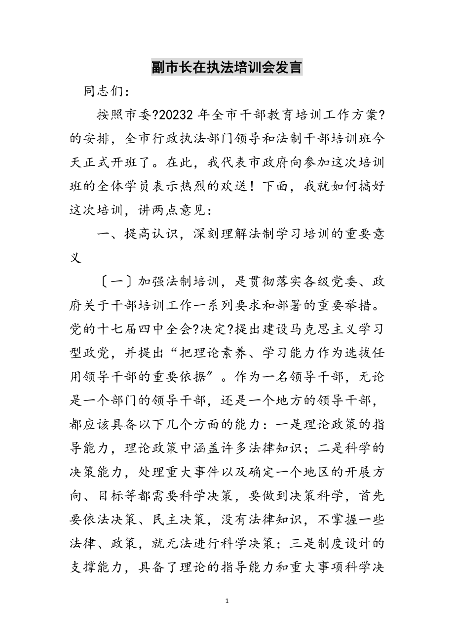 2023年副市长在执法培训会发言范文.doc_第1页