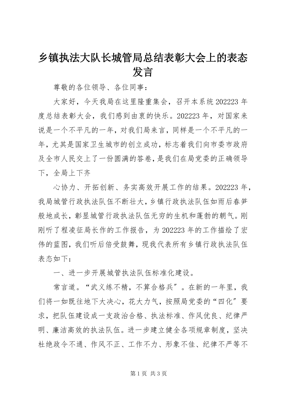 2023年乡镇执法大队长城管局总结表彰大会上的表态讲话.docx_第1页