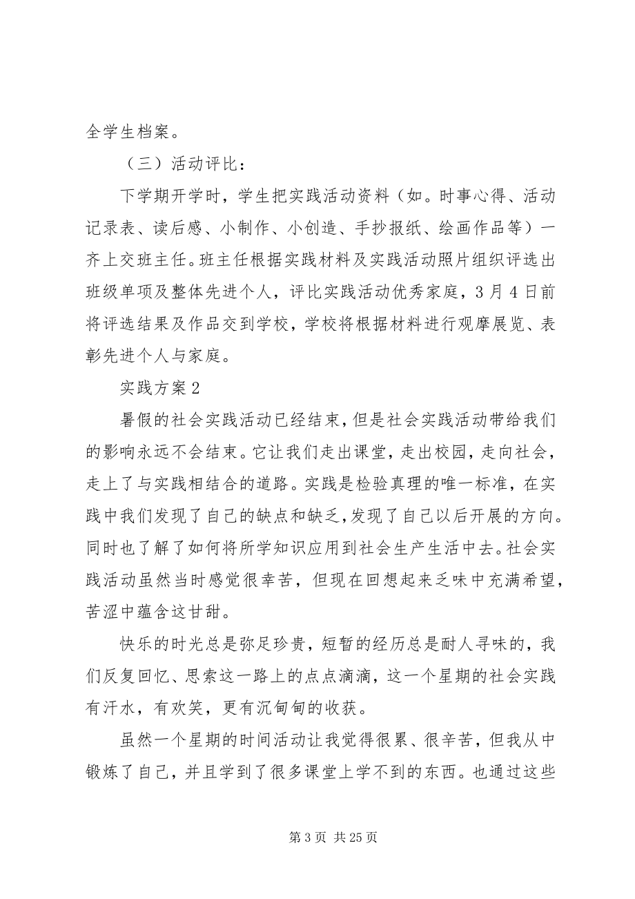 2023年实践计划总结多篇.docx_第3页