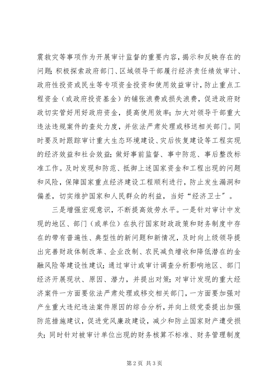 2023年审计工作应对金融危机之管见.docx_第2页