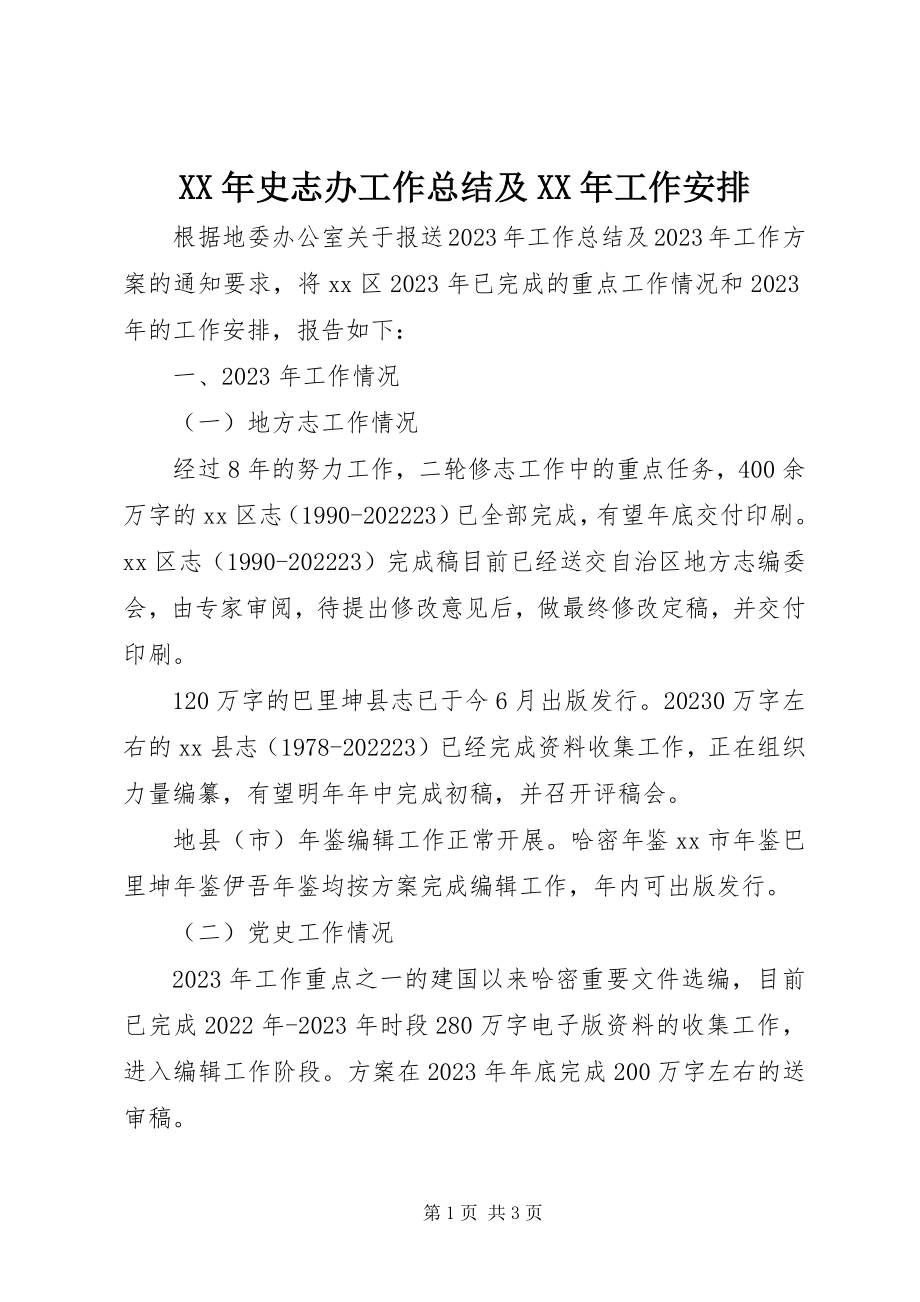 2023年史志办工作总结及工作安排.docx_第1页