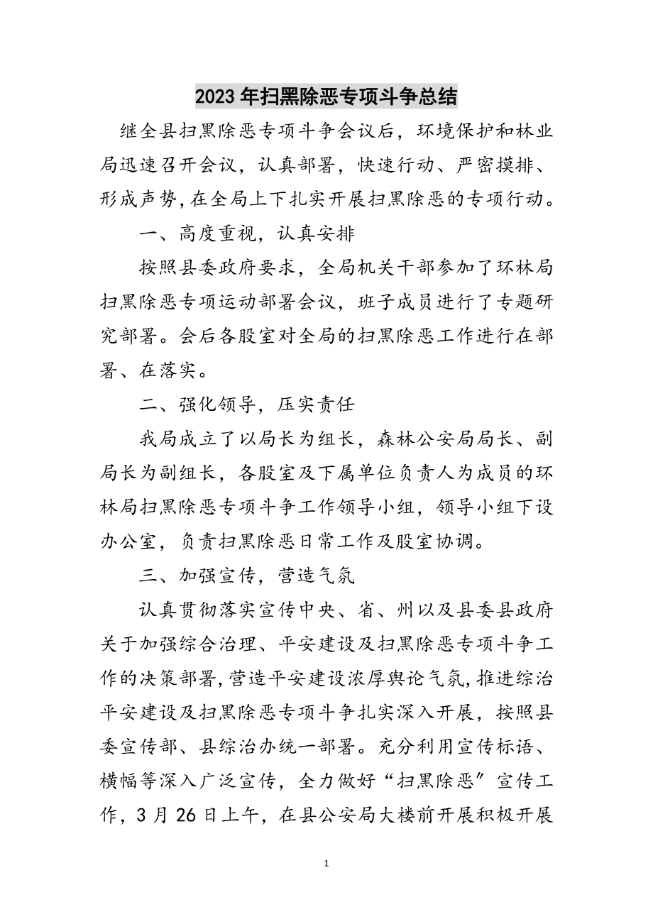 2023年年扫黑除恶专项斗争总结范文.doc_第1页