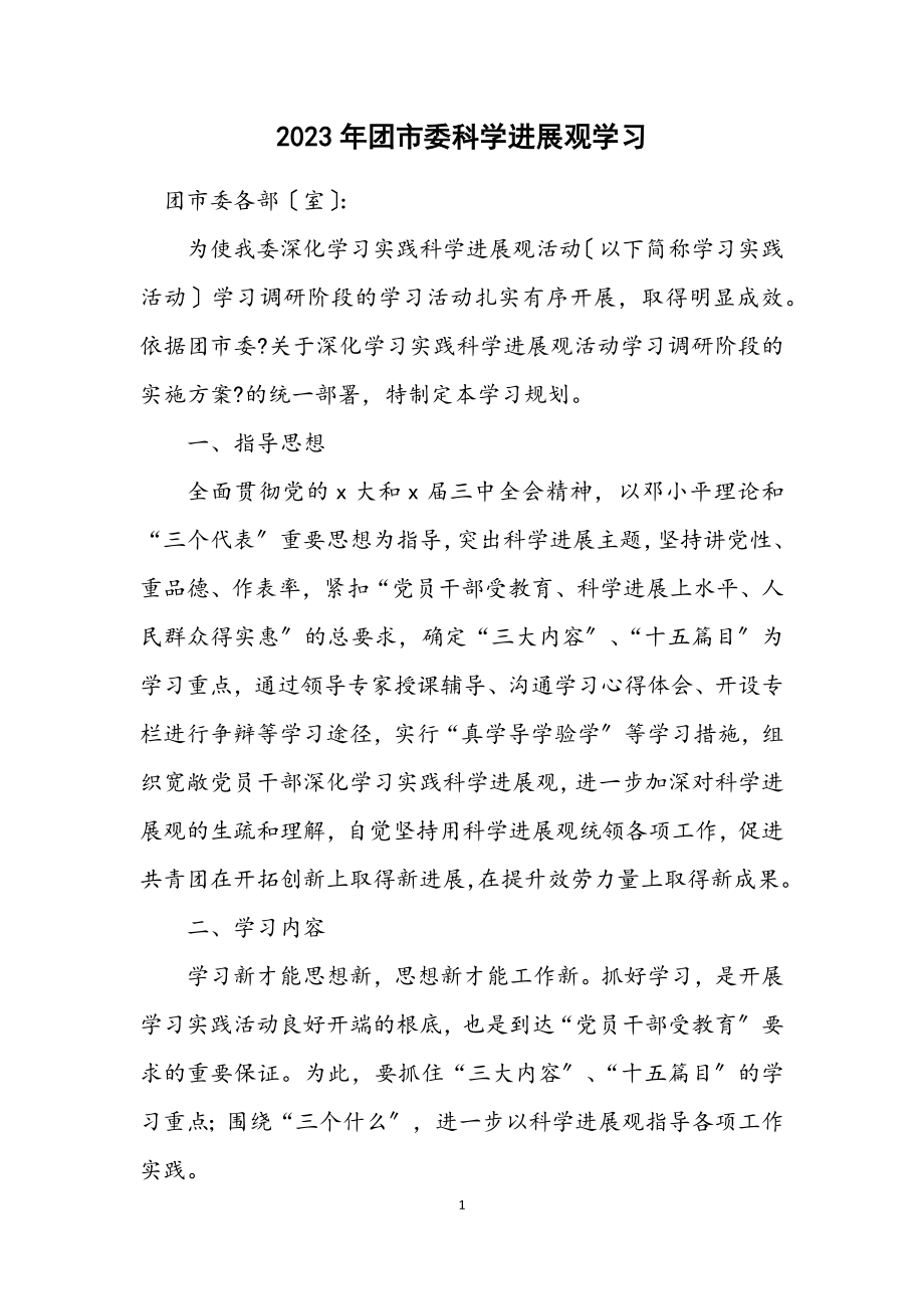 2023年团市委科学发展观学习计划.docx_第1页