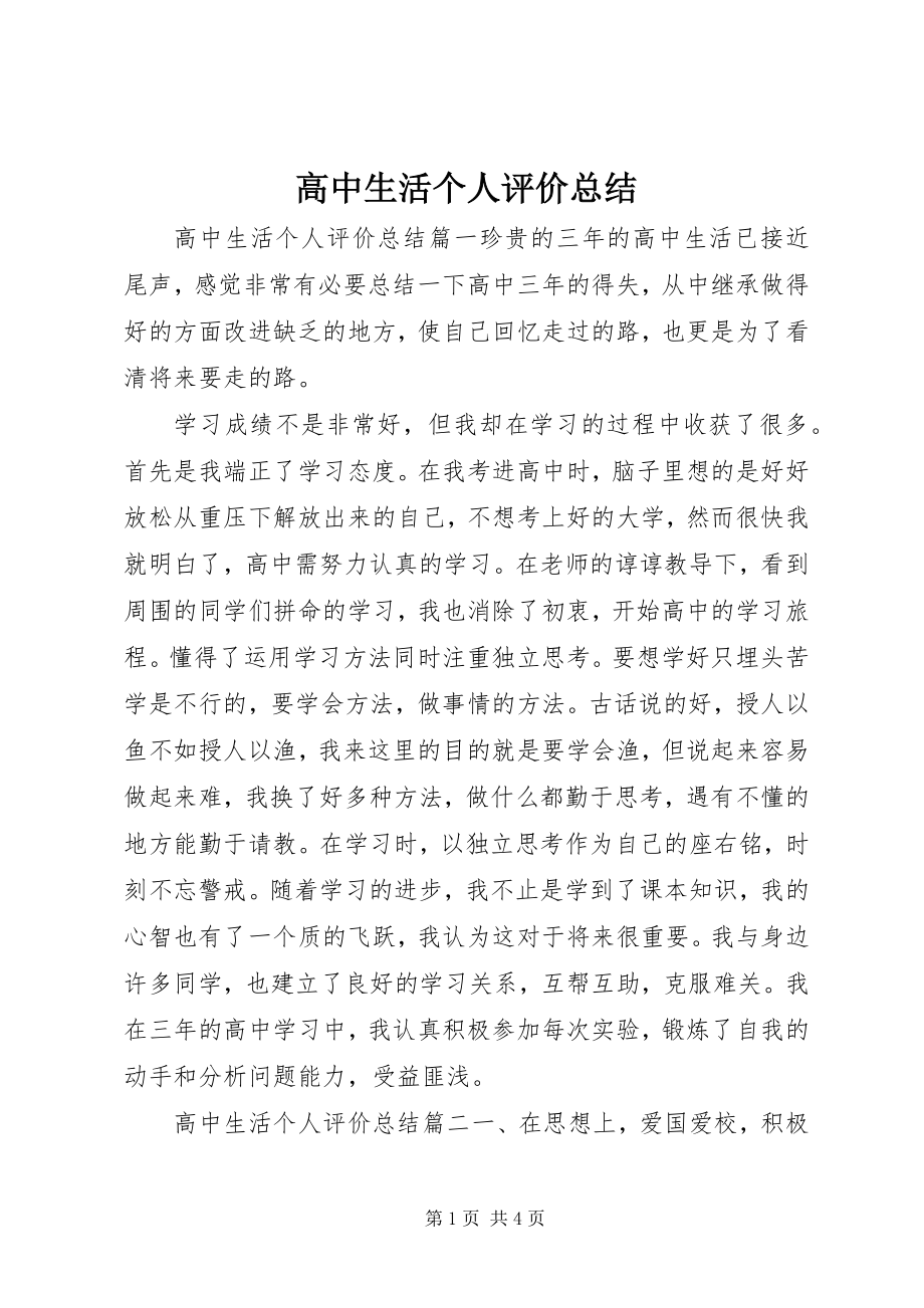 2023年高中生活个人评价总结.docx_第1页