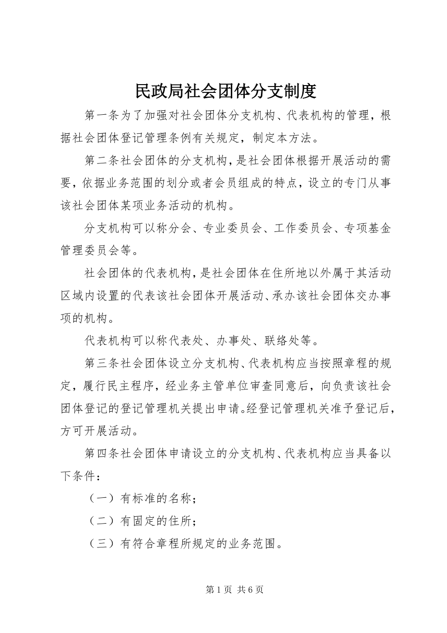 2023年民政局社会团体分支制度.docx_第1页