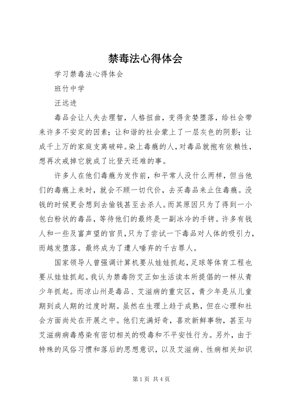 2023年禁毒法心得体会.docx_第1页