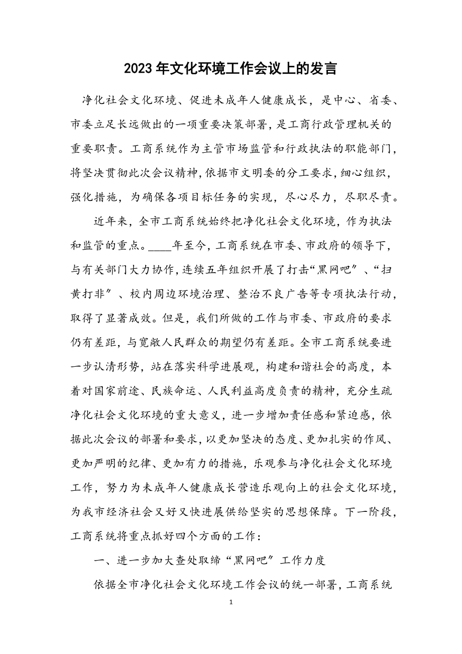 2023年文化环境工作会议上的发言.docx_第1页