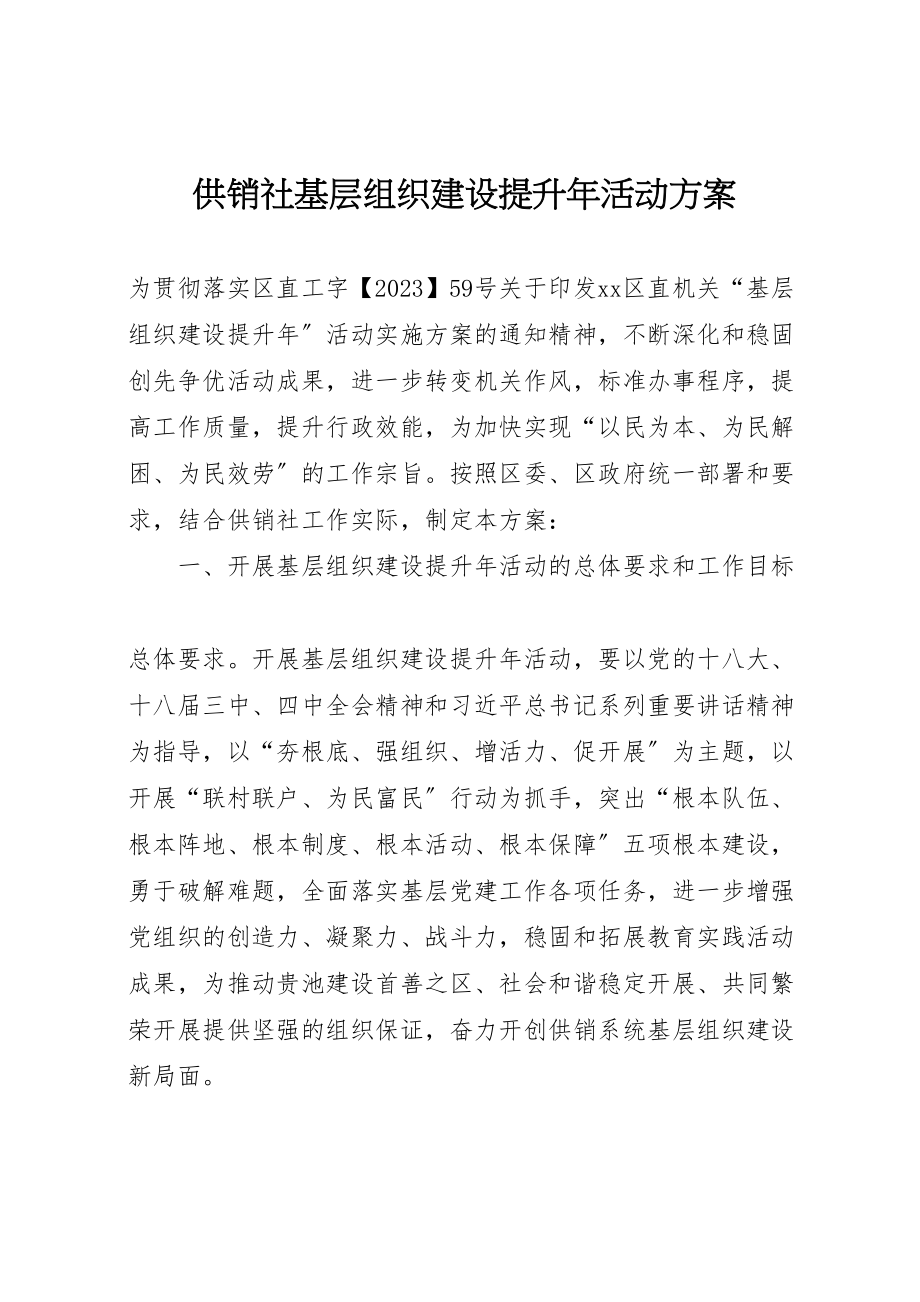 2023年供销社基层组织建设提升年活动方案 .doc_第1页