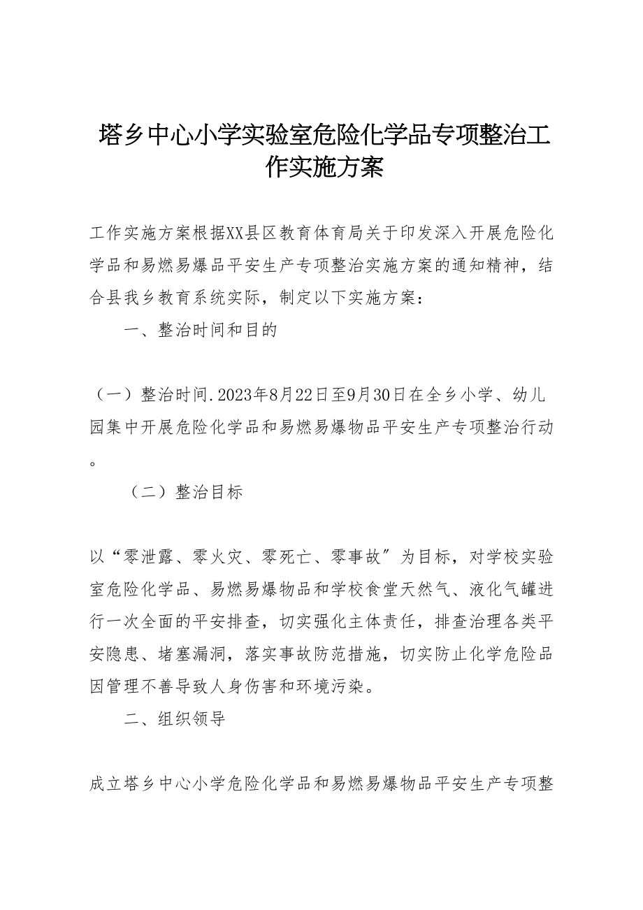 2023年塔乡中心小学实验室危险化学品专项整治工作实施方案.doc_第1页