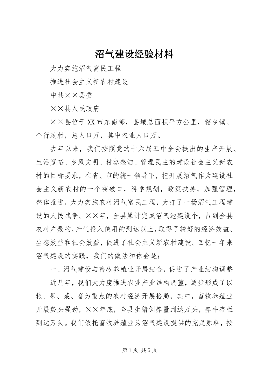 2023年沼气建设经验材料.docx_第1页